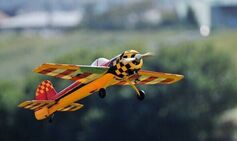 Dad killed after own remote-controlled plane crashes into him in Arizona