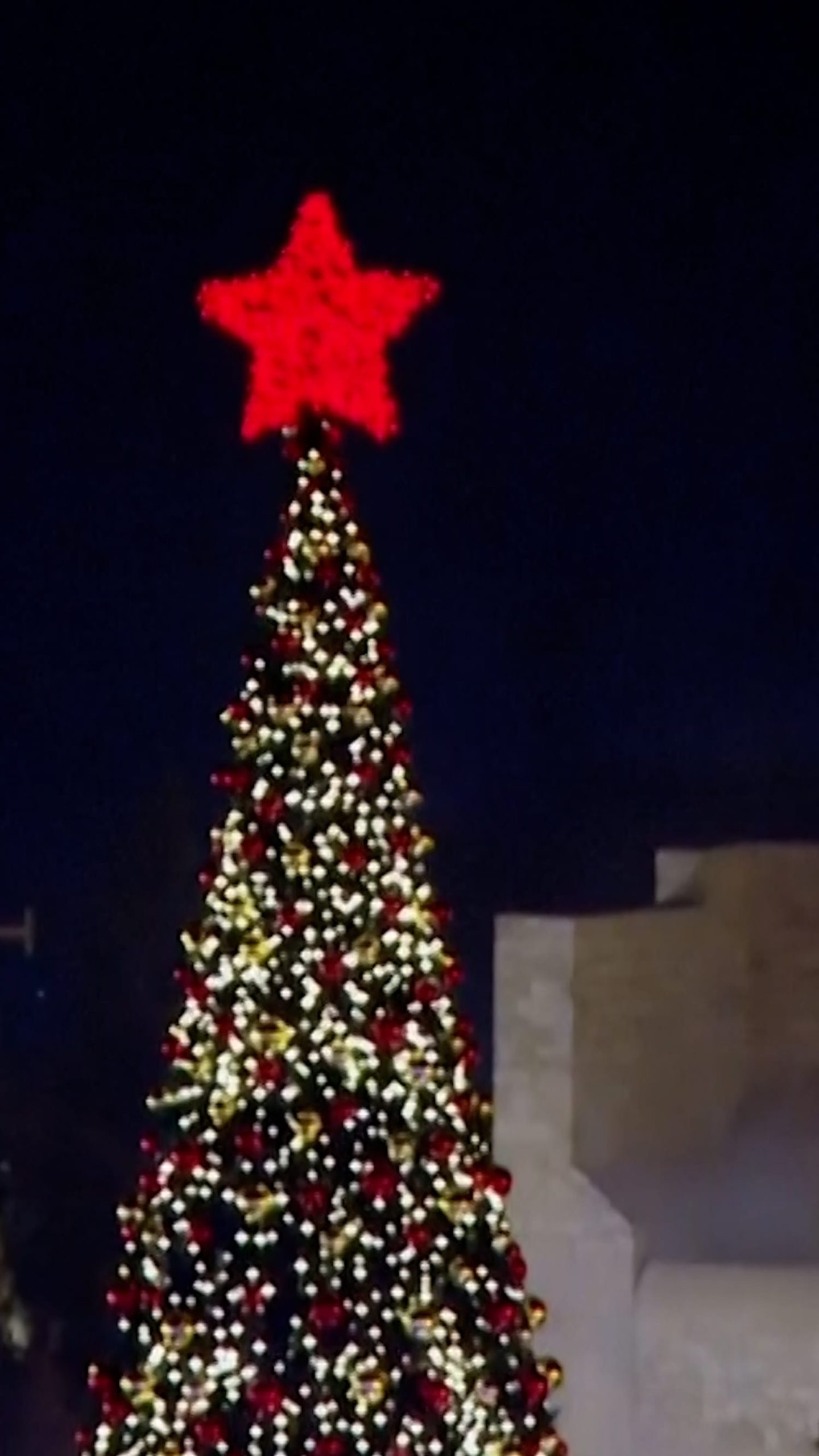Bethlehem lit tree for first time since start of war