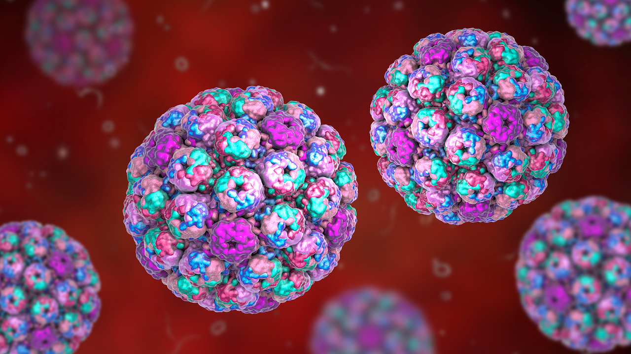 Widespread cold virus you’ve never heard of may play key role in bladder cancer