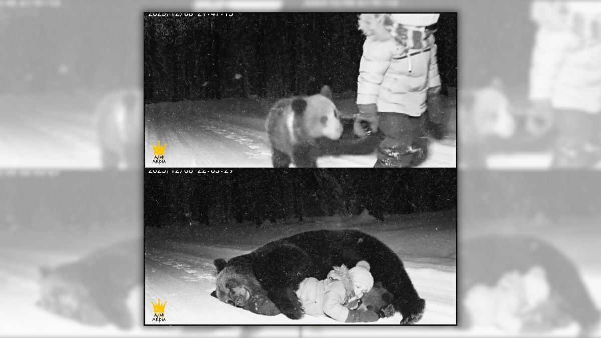 Wild story about mother bear and cub rescuing lost girl in Alaska is fake