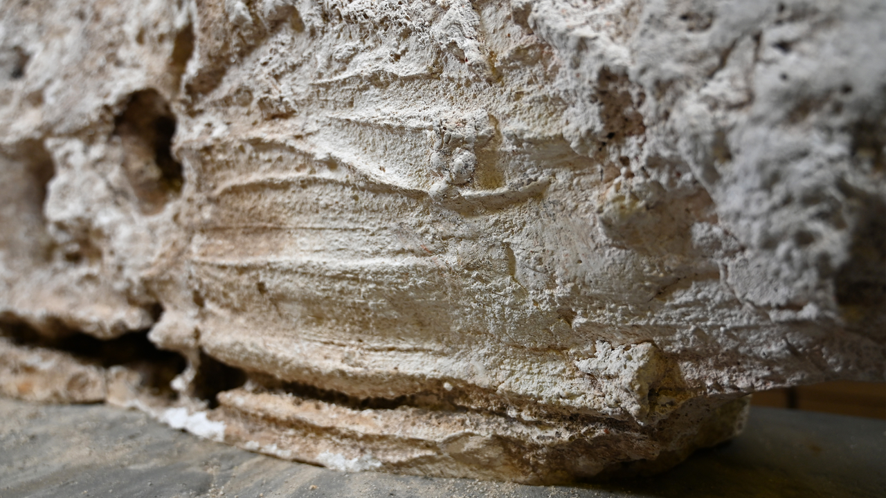 ‘They had not been seen ever before’: Romans made liquid gypsum paste and smeared it over the dead before burial, leaving fingerprints behind, new research finds