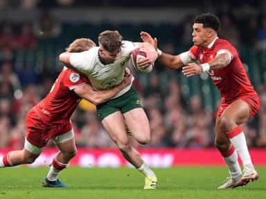 Rugby to trial lower tackle height at elite level amid concussion concerns