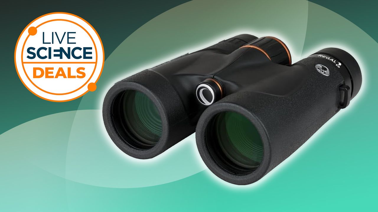 These incredible birdwatching binoculars are $125 off at Amazon — just in time for that last bit of Christmas shopping