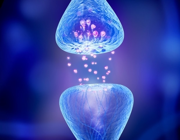 Scientists discover rapid synapse adaptation in neuronal communication