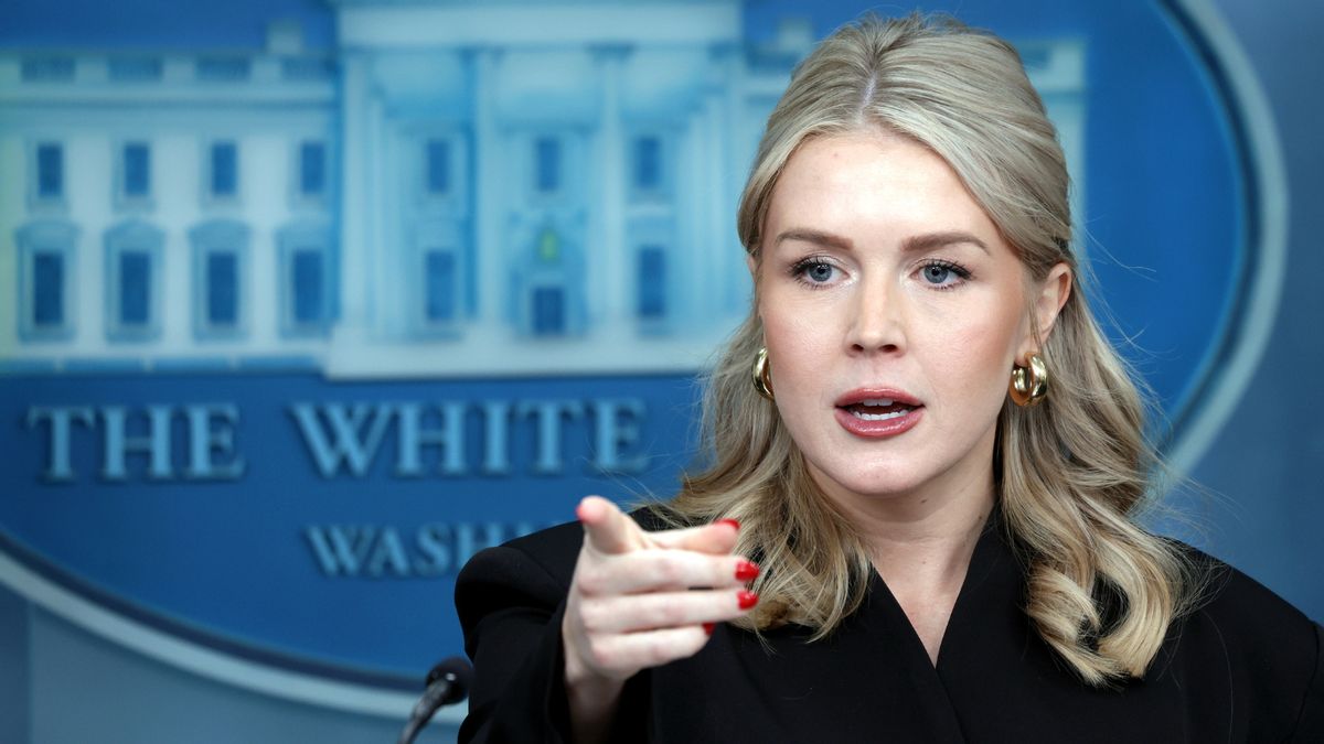 Did Leavitt say Trump ‘doesn’t care if you’re black, brown, yellow or normal’? Here’s the truth