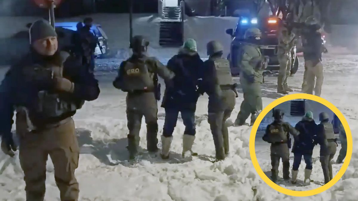 Minnesota woman Sue Tincher was arrested by ICE while observing agents