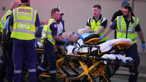 How ISIS could be linked to the deadly Bondi Beach mass shooting