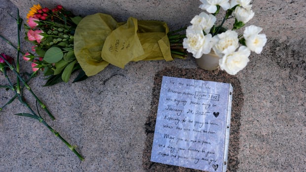 U.S. government admits negligence in January helicopter-plane collision near Washington