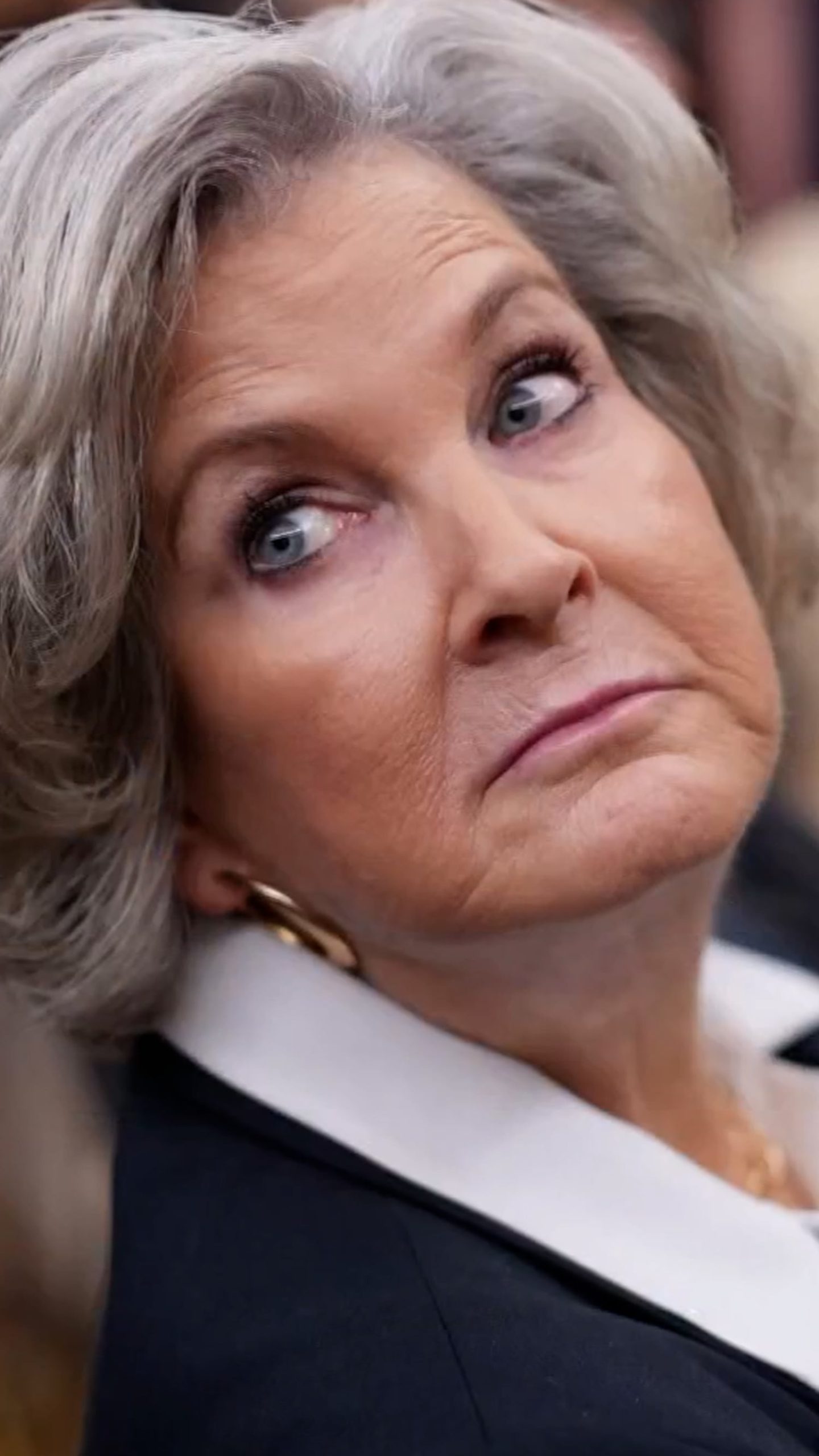 Vanity Fair reporter says Susie Wiles was ‘all in’