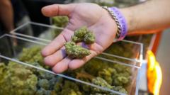 Trump expands access to cannabis in a major shift in drug policy