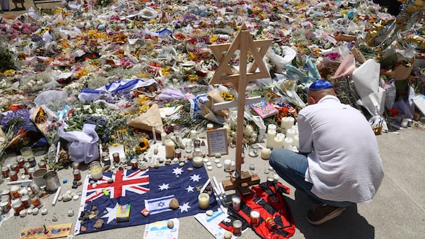 Australia plans gun buyback scheme in wake of mass shooting at Bondi Beach Hanukkah celebration