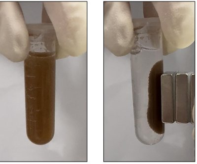 ‘Bacteria pill’ could replace colonoscopy for gut diseases, makers say