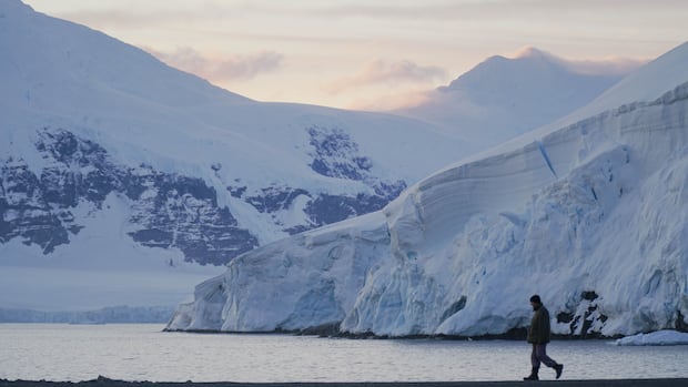 Canada’s growing profile in Antarctic research may get a boost with expedition in 2026