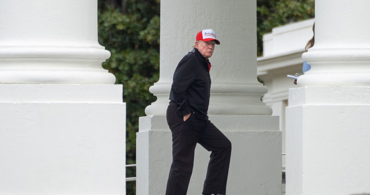 Is Tweety McTreason still governing at all?