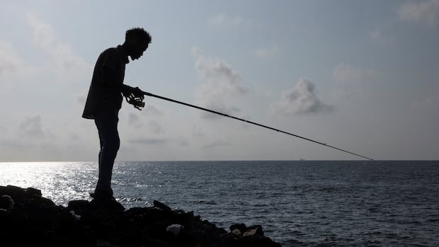 Somalis say foreign ships are stealing their fish, and it’s fuelling a piracy resurgence