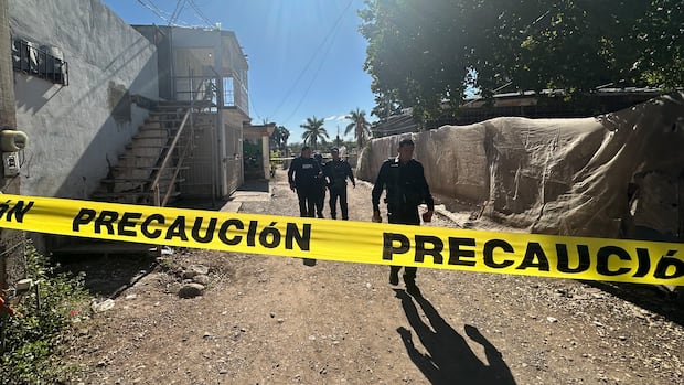 ‘No respect for anything’: Life in the shadows of a Mexican cartel war