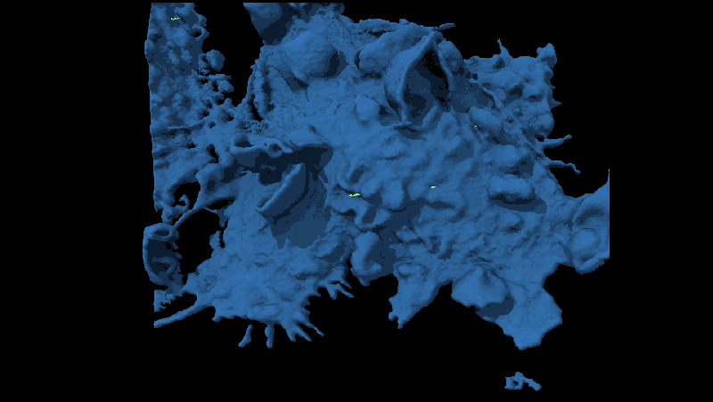 Watch a cancer cell evade capture