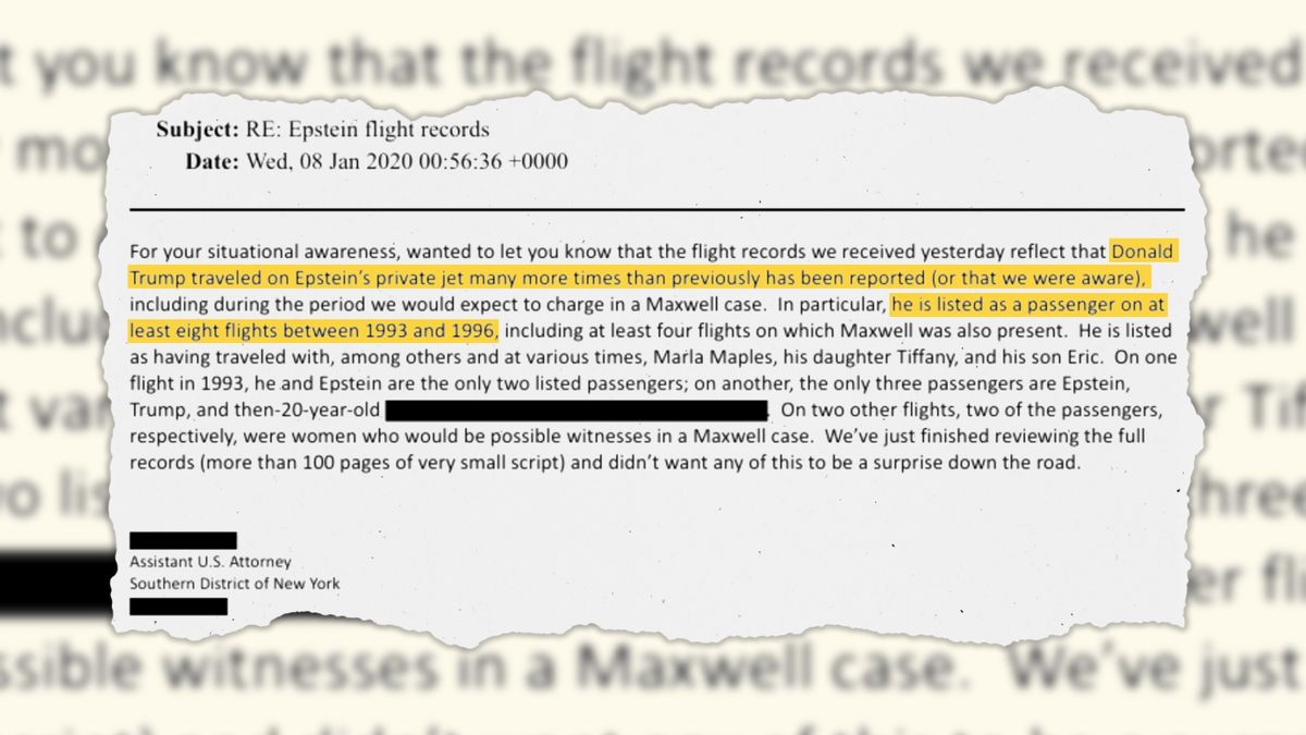 Trump took Epstein’s jet ‘many more times than previously reported,’ according to assistant US attorney