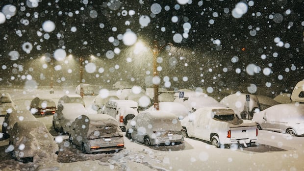 Winter storm inundates California with heavy rain, mudslides and whiteout chaos