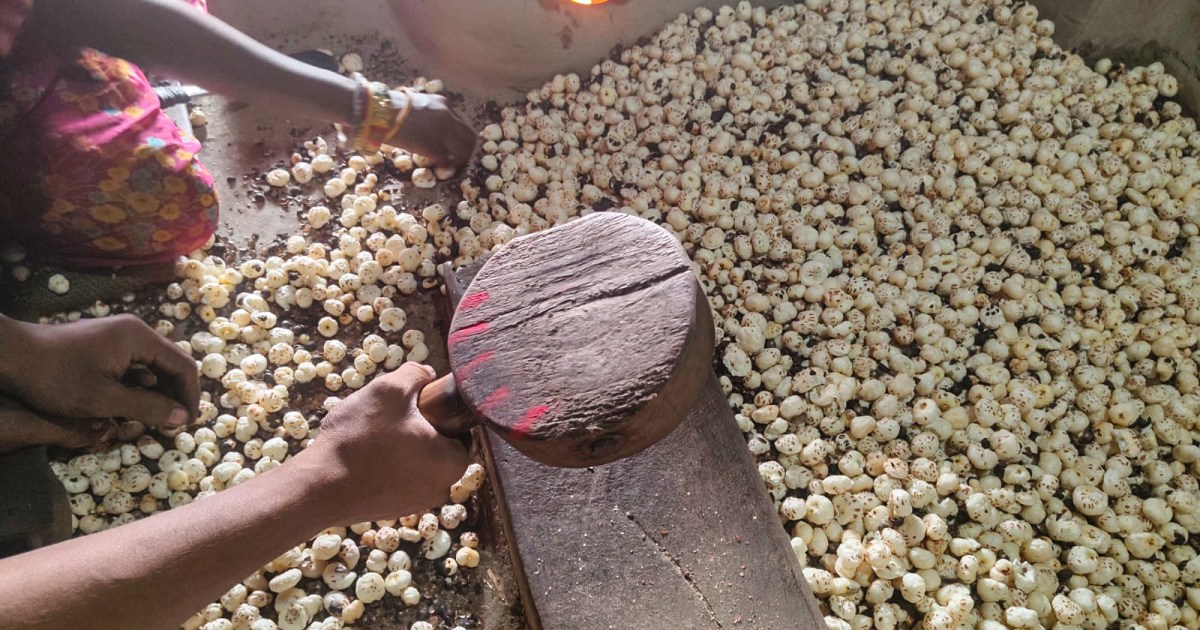 As Trump’s tariffs hit Indian fox nuts, the superfood eyes new markets