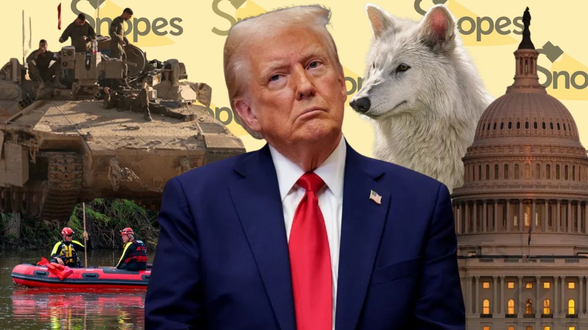 Looking back on 2025: Rumors that took us down research rabbit holes