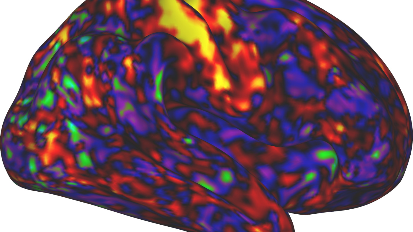 ADHD drugs may work indirectly to boost attention