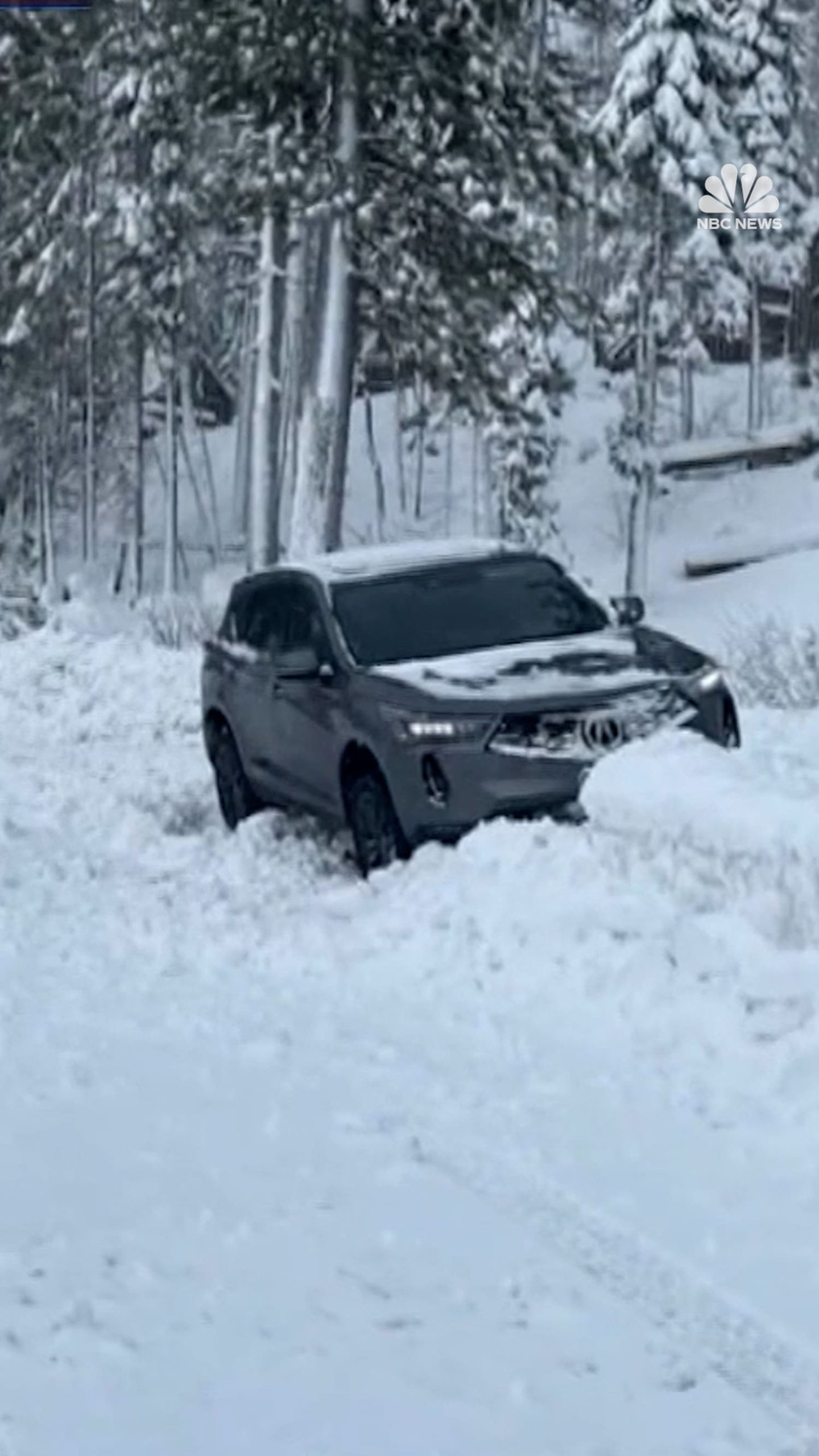 Winter storm brings travel chaos to East Coast