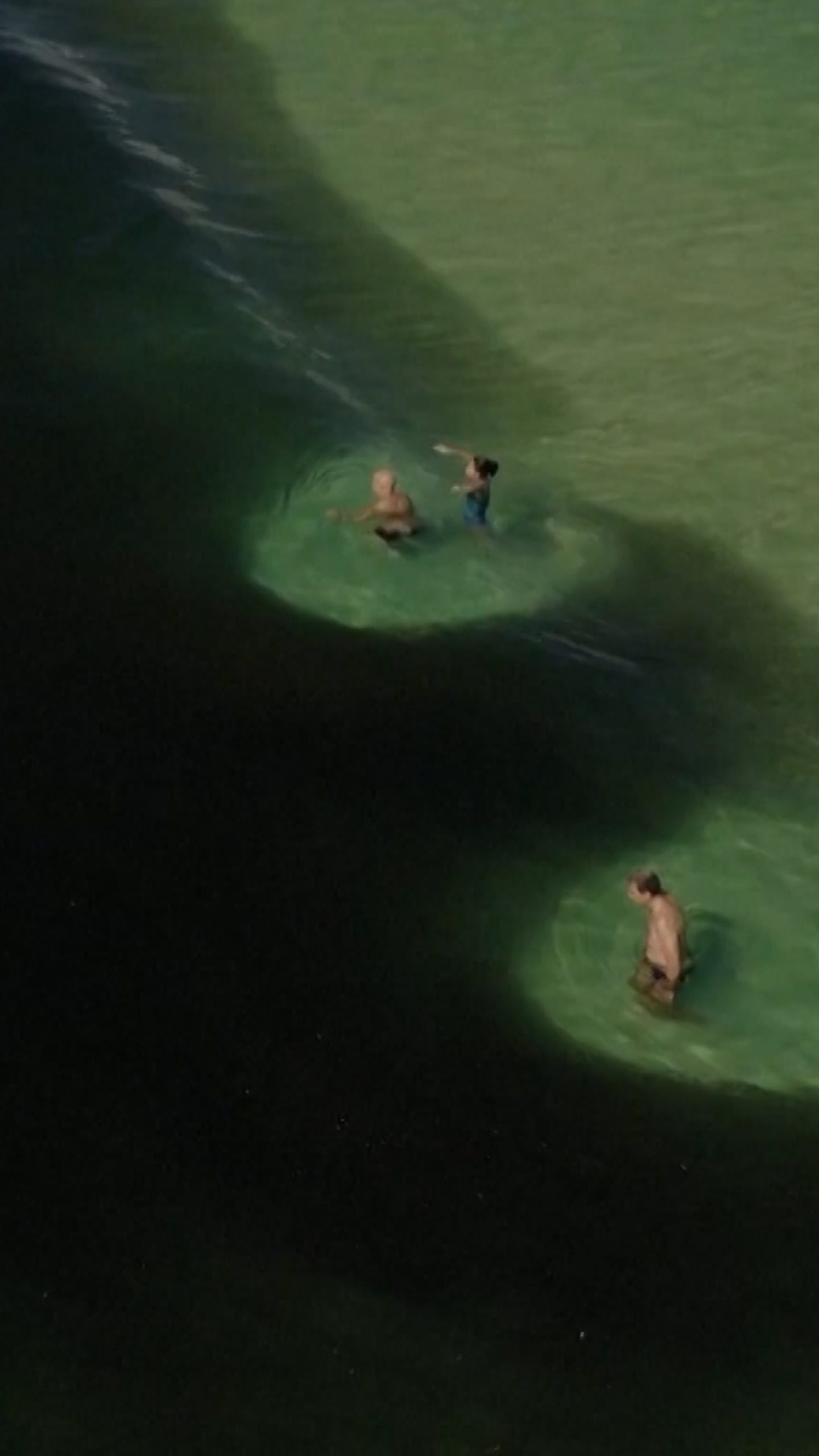 Millions of anchovies surround swimmers at Rio beach