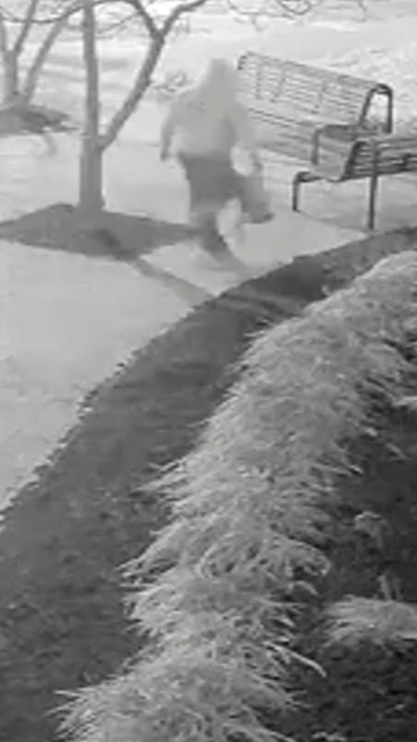 D.C. pipe bomb suspect has confessed, DOJ filing says