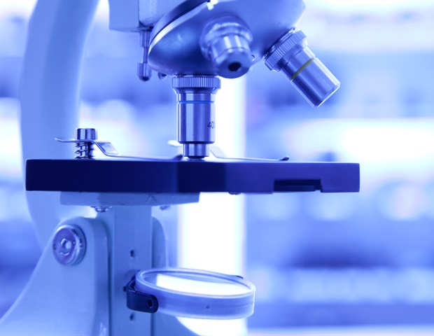 Epigenetic plasticity in germinal center B cells may help explain lymphoma origins