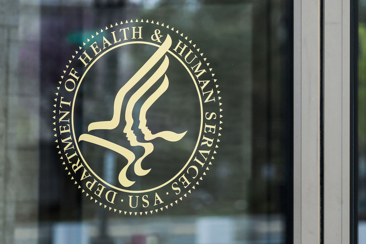 Trump administration says it’s halting federal child care payments to Minnesota after viral fraud claims