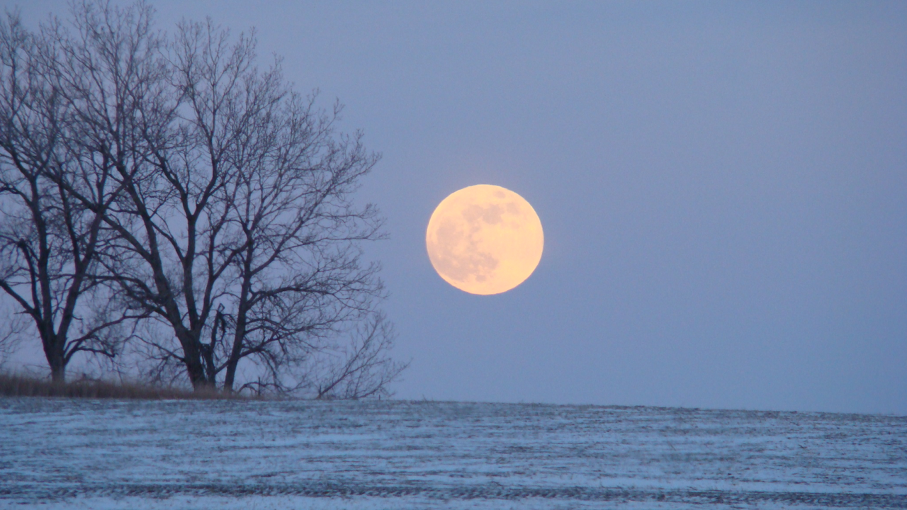 January ‘Wolf Supermoon’: How to see the full moon rise with Jupiter this weekend