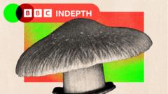The great debate about whether the NHS should use magic mushrooms to treat mental health