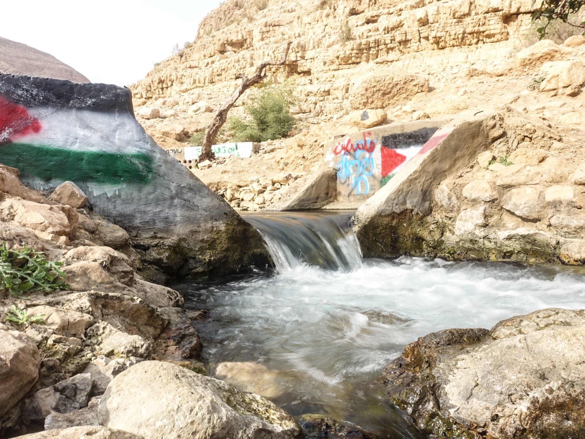 Israeli settlers consume water seven times more than Palestinians