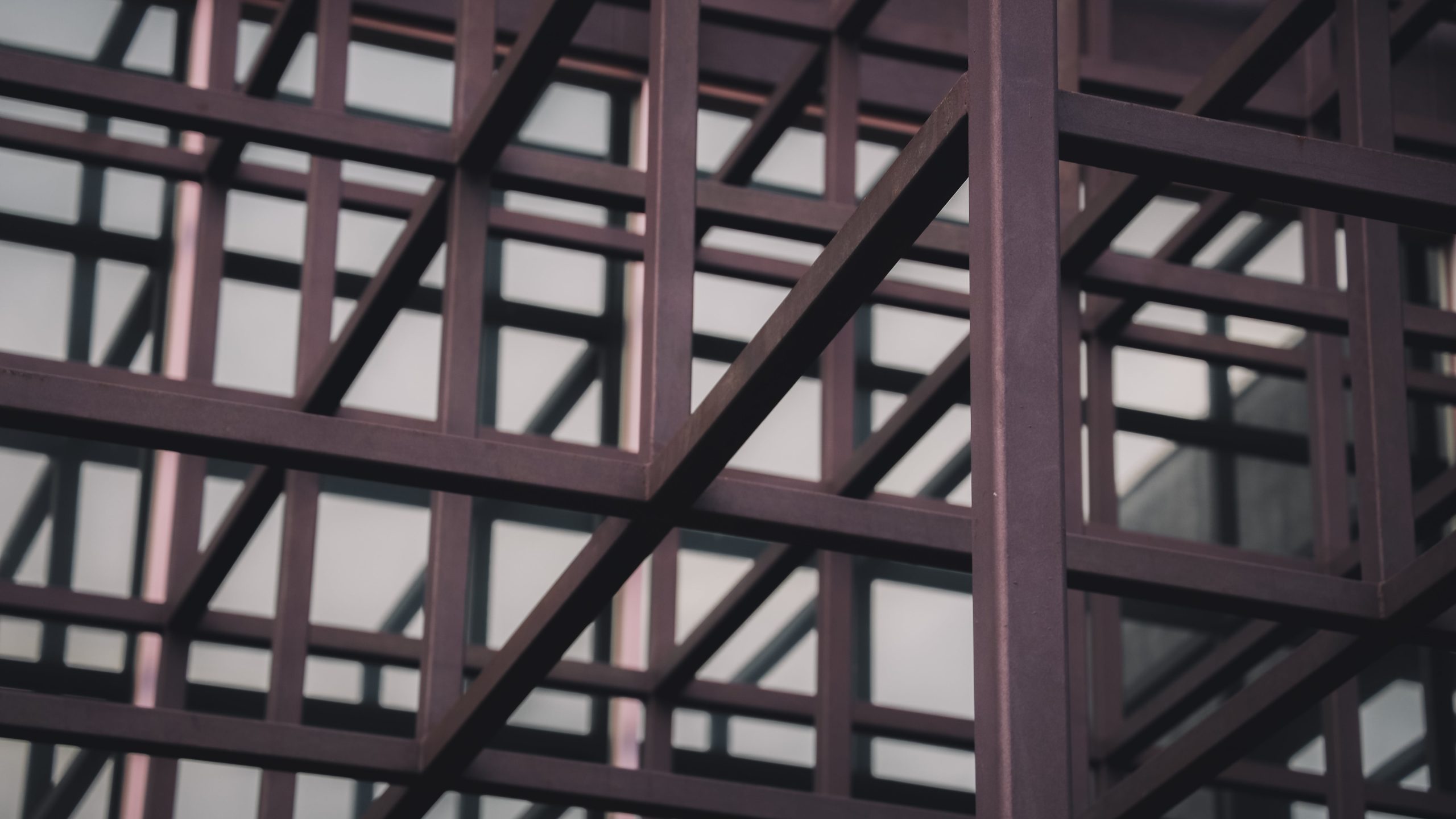 Companies can compete against AI by delivering what AI can’t