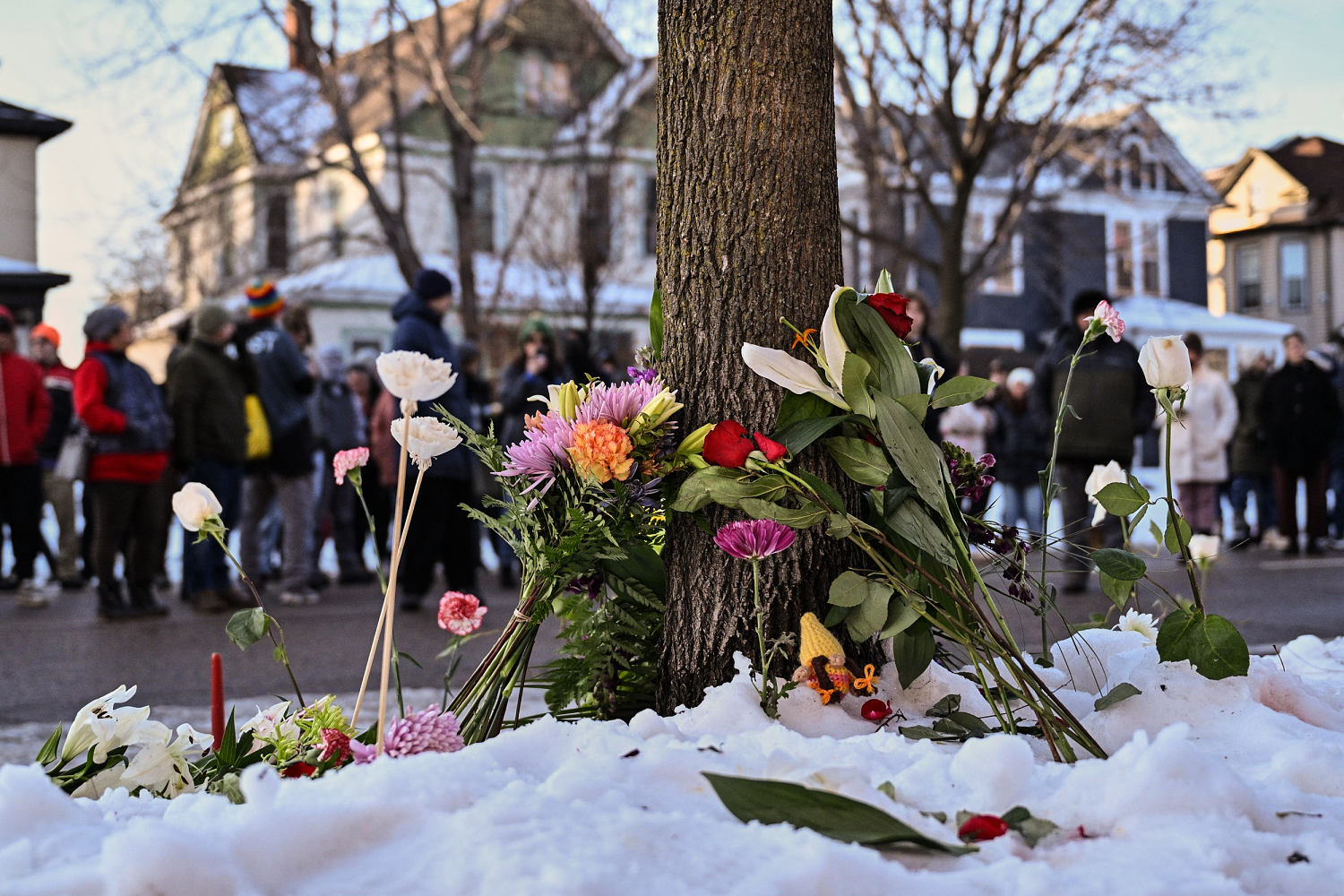 Woman fatally shot by ICE agent identified as resident ‘out caring for her neighbors’