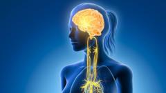 Ever feel the need to switch off? Your vagus nerve might hold the key