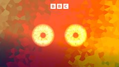 Can I Believe My Eyes?