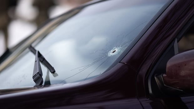 How Trump and Vance’s accounts of Minneapolis ICE shooting differ from video evidence