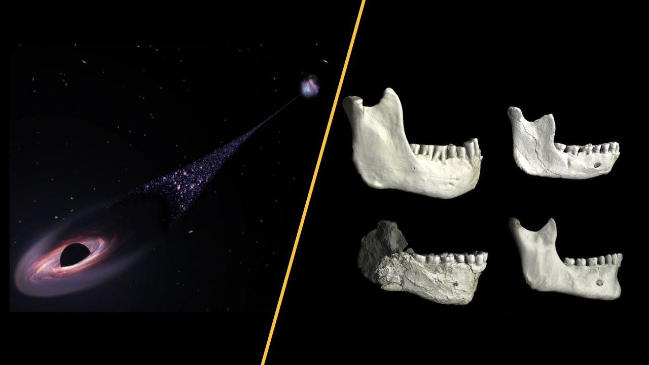 Science news this week: A runaway black hole, a human ancestor discovered in Casablanca cave, and vaccine schedule slashed