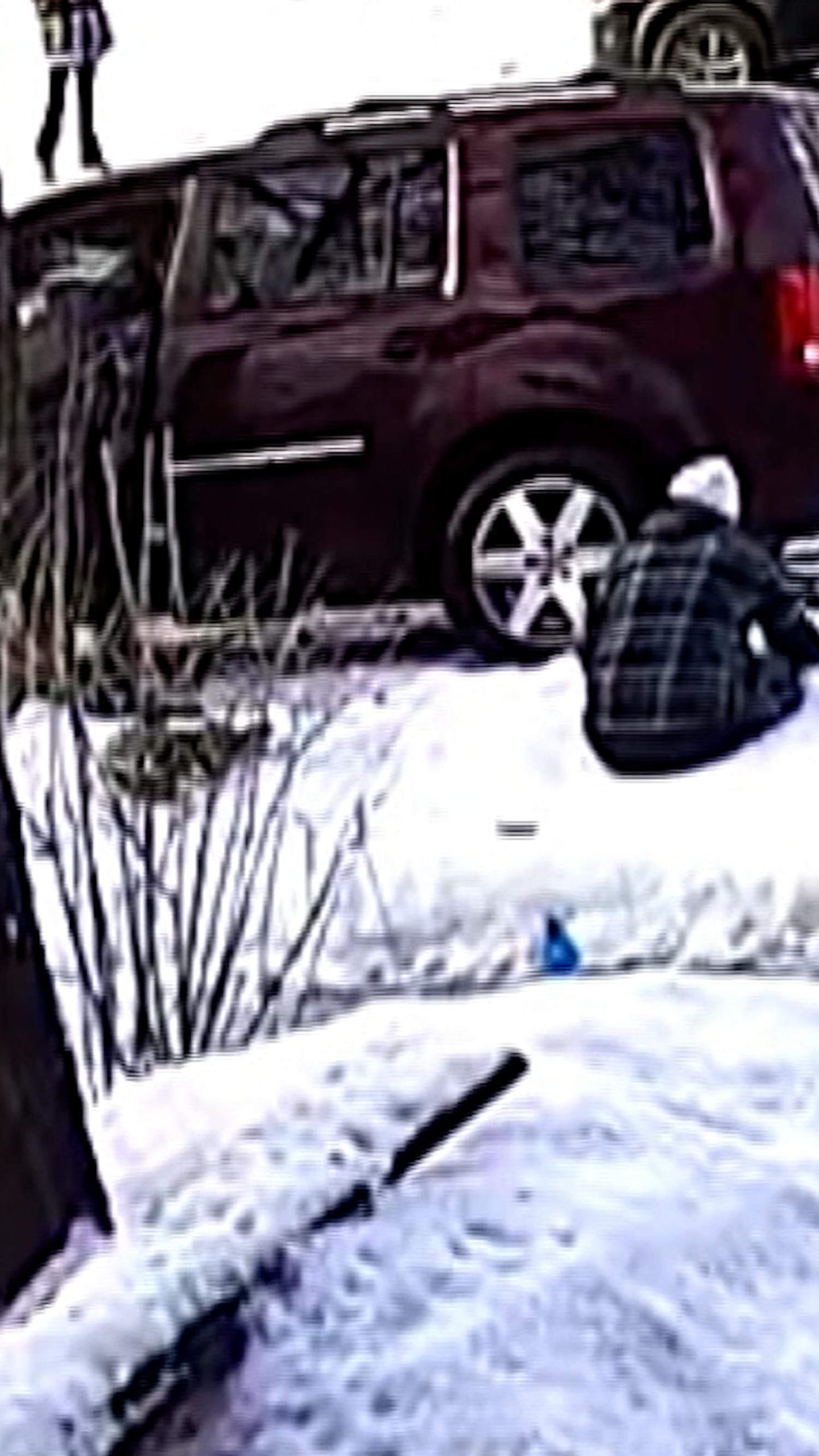 Video captures Renee Good’s car crashing after shooting