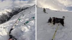 Watch: Moment skier and dog swept along by avalanche
