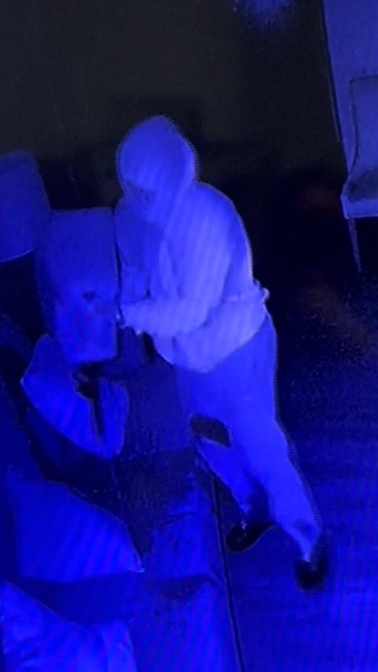 Video shows alleged synagogue arsonist dumping liquid