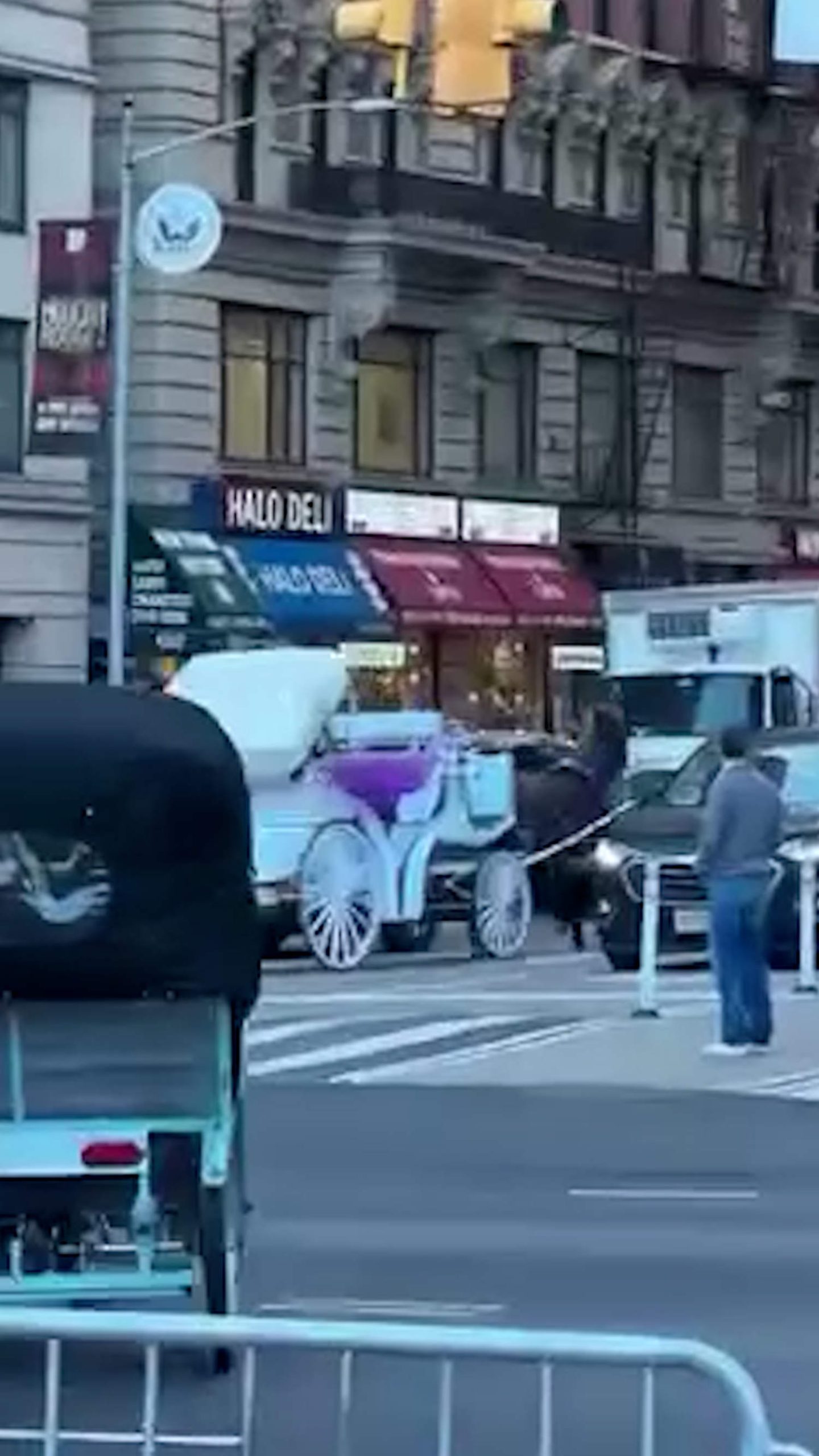 Carriage horse bolts into New York City traffic
