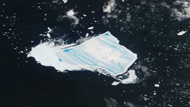 It’s big, beautiful and — blue. But this 40-year-old iceberg is about to disappear for good