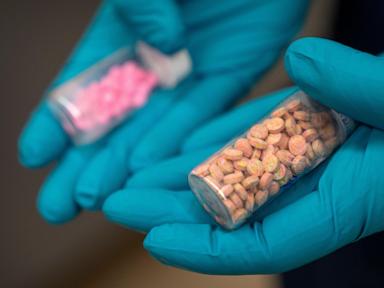 US overdose deaths fell through most of 2025, federal data reveals