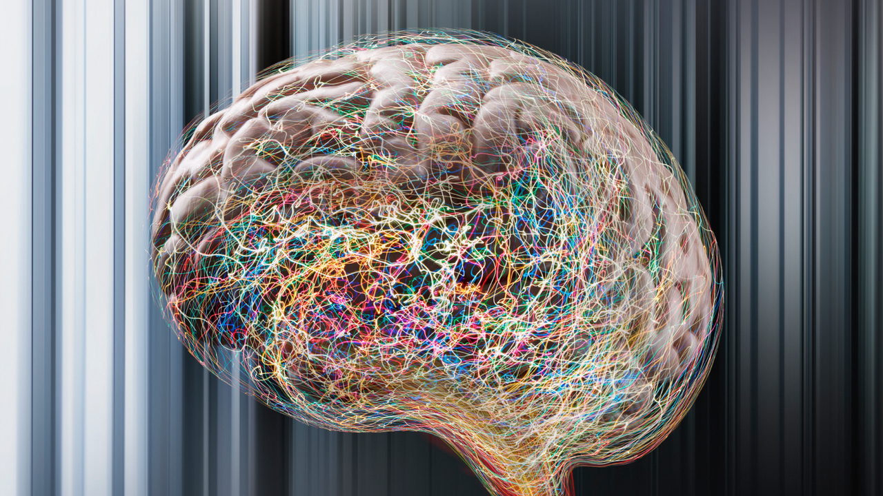 ‘Zombie’ cells may drive common form of epilepsy