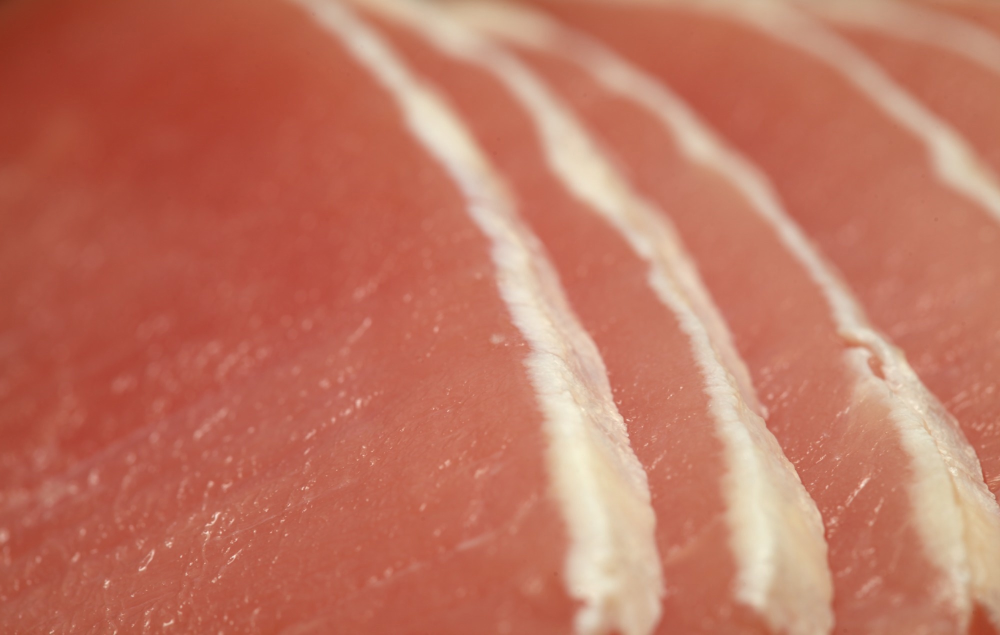 Adding lean pork to a plant-forward diet supports healthy aging biomarkers