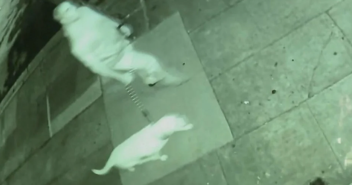 A man has been throwing dog poop at an LGBTQ+ youth center. Police won’t do anything about it.