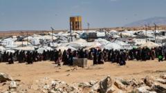 New ceasefire in Syria after Kurdish-led forces pull out of camp for IS families